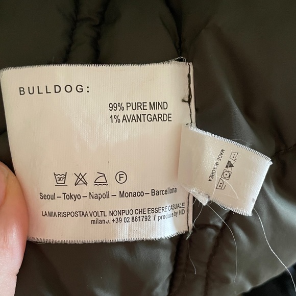 Winter coat bulldog - Picture 9 of 13